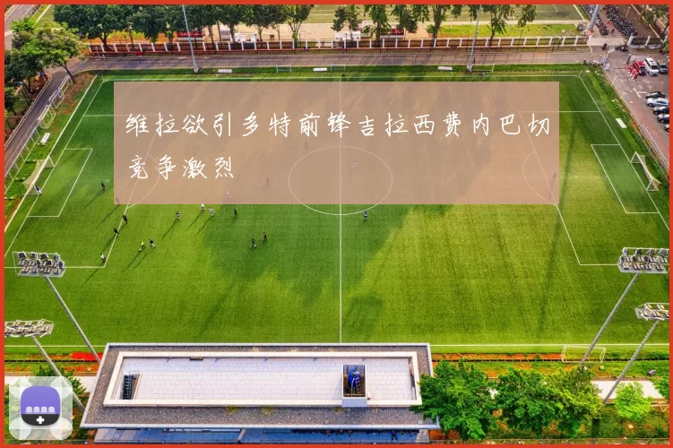 维拉欲引多特前锋吉拉西费内巴切竞争激烈